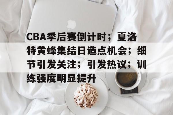 CBA季后赛倒计时；夏洛特黄蜂集结日造点机会；细节引发关注；引发热议；训练强度明显提升的简单介绍